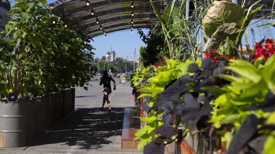 La Canopée à Genève : activités sportives et animations estivales sur le quai Gustave-Ador