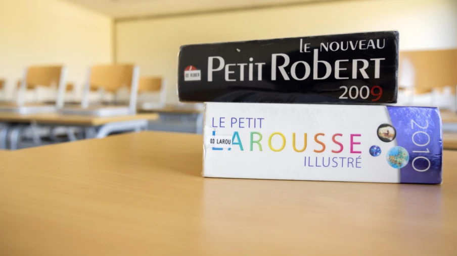 Crush, bouiner, prompter : nouveaux mots dans Le Robert et Larousse