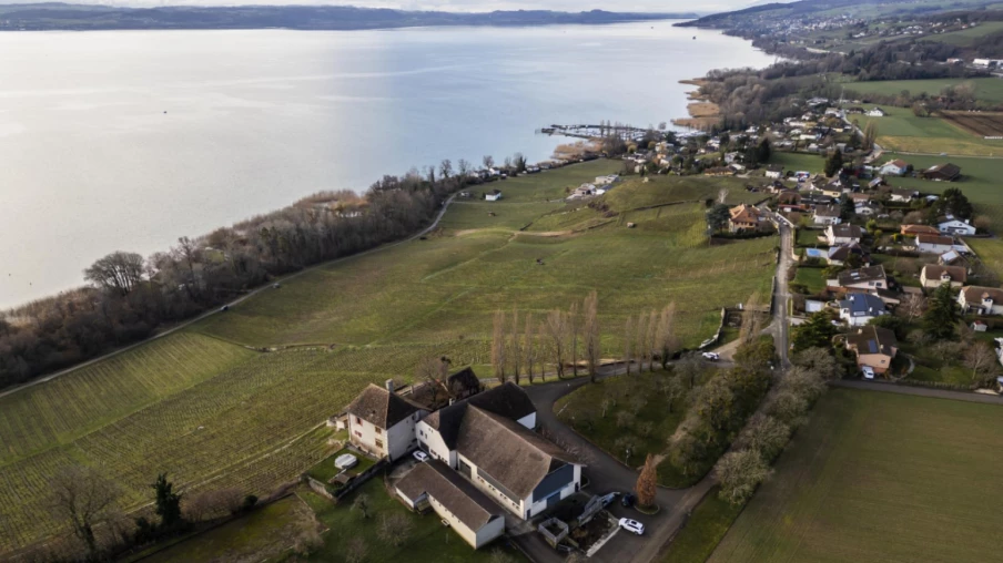 Neuchâtel : soutien 2026-2027 à la viticulture, promotion et arrachage