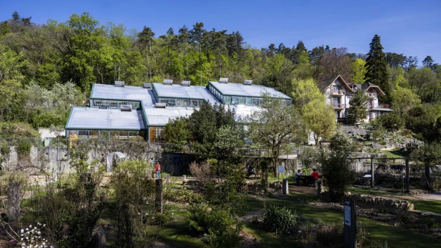 Neuchâtel : deux dons rares à Lignières et au jardin botanique