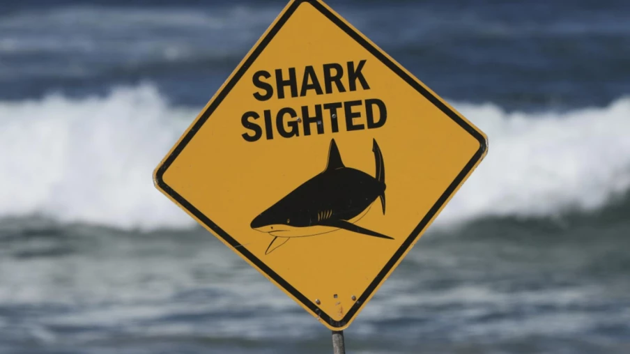 Attaque de requin à Rottnest : homme de 30 ans en état critique