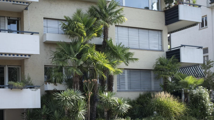 Sève Favre à Oron et Mézières : double exposition sur plantes invasives