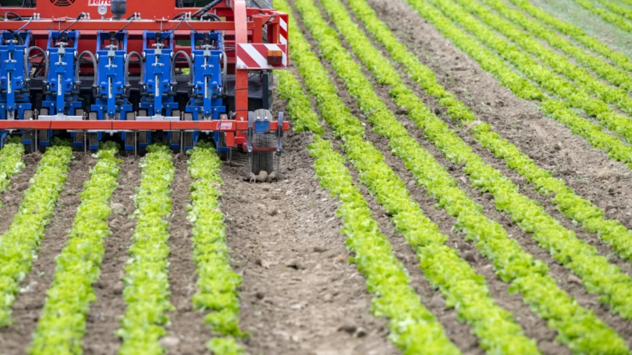 Aide fédérale à l'agriculture suisse après concessions commerciales