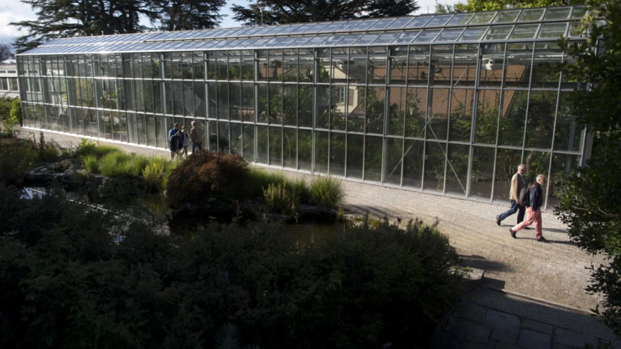 Mimêsis au Naturéum de Lausanne : biomimétisme et innovation