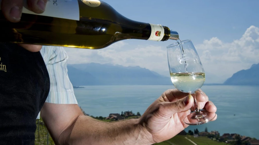 Les Caves Ouvertes Vaudoises 2024 : Dégustations et Découverte des Vins pour la Pentecôte Les Caves Ouvertes Vaudoises 2024 : Dégustations et Découverte des Vins pour la Pentecôte
