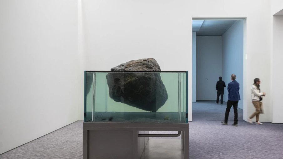 Pierre Huyghe à la Fondation Beyeler : exposition éphémère