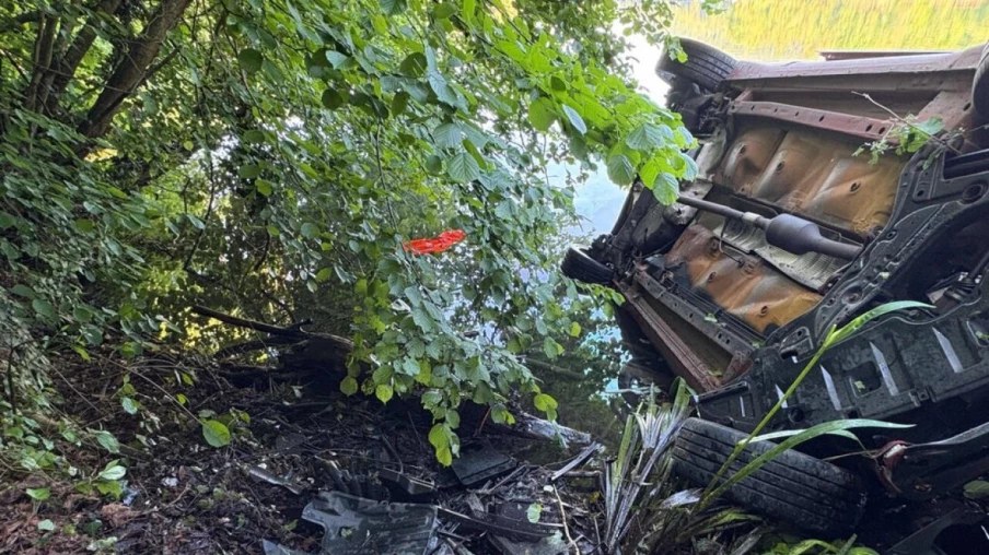 Automobiliste tombe dans le Rhin à Rümikon (AG) en évitant un animal