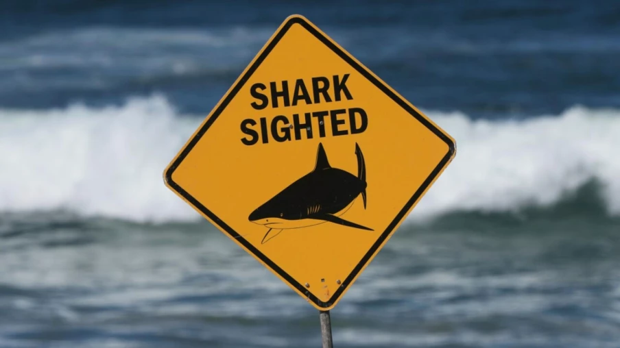 Attaque de requin dans le Queensland : un homme de 39 ans meurt