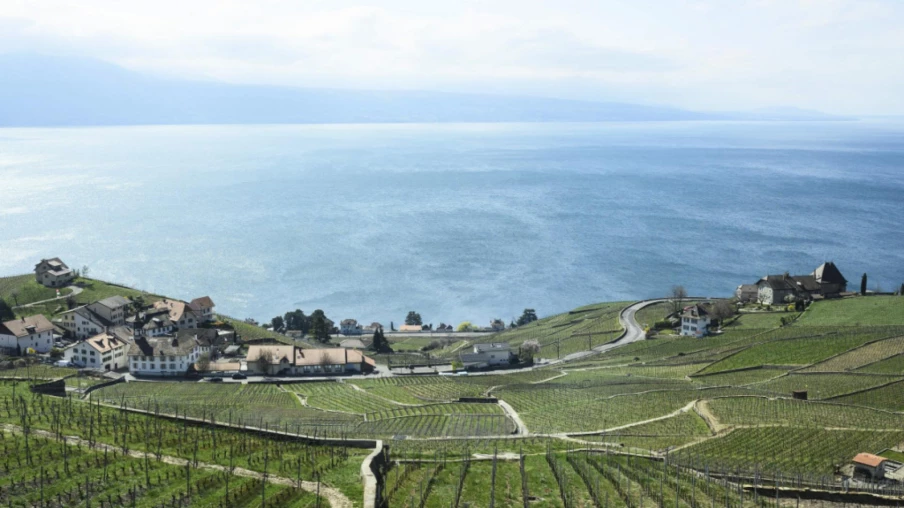 100'000 visites aux caves ouvertes vaudoises 2026