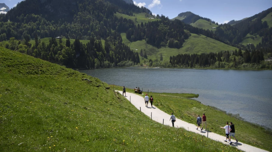 Lac Noir (Fribourg) : randonneur de 20 ans tué par la chute d'un arbre