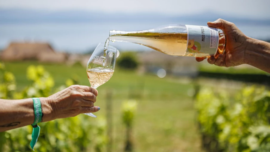 Viticulture vaudoise : le fonds de prévoyance élargi à la promotion