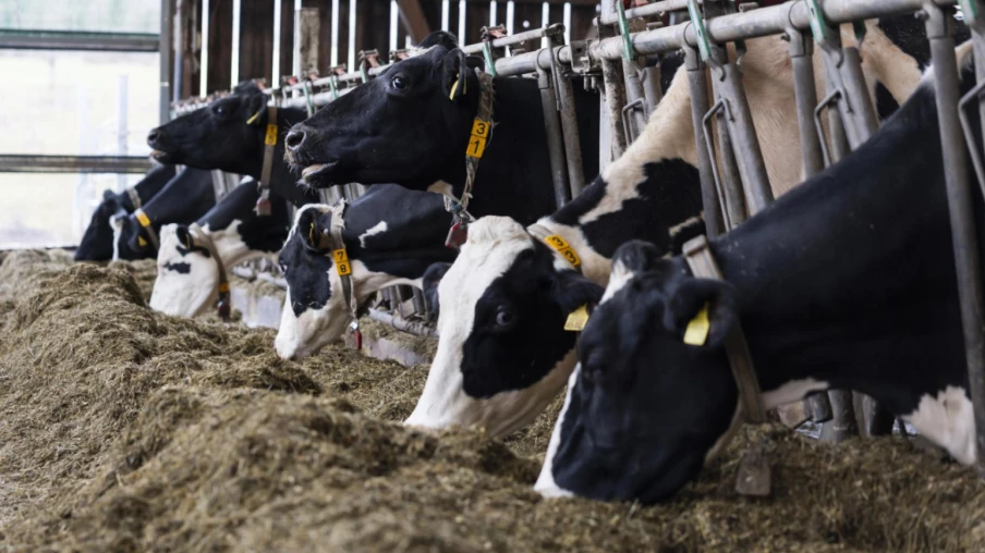 Mercosur : gauche et agriculteurs monteront au Conseil national