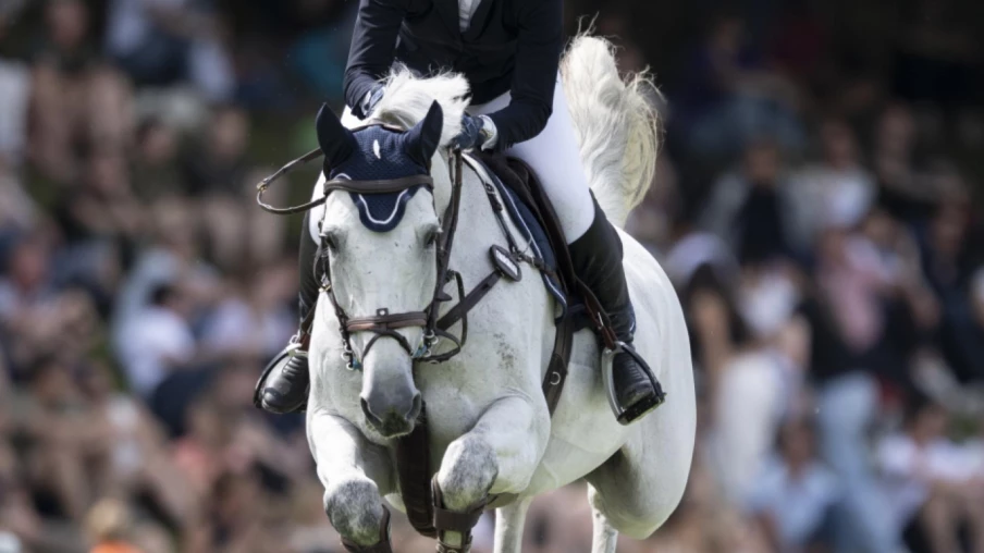 Grand Prix CSIO St-Gall : Aucun cavalier suisse sur le podium, meilleure place pour Géraldine Straumann