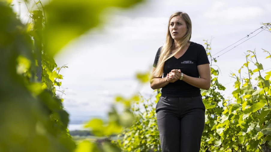 Neuchâtel: une association pour valoriser le pinot noir d'exception