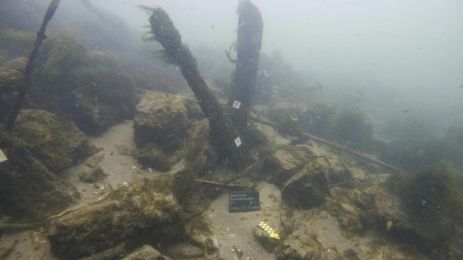 Pieux d'un pont romain du IVe siècle découverts dans l'Aar à Soleure