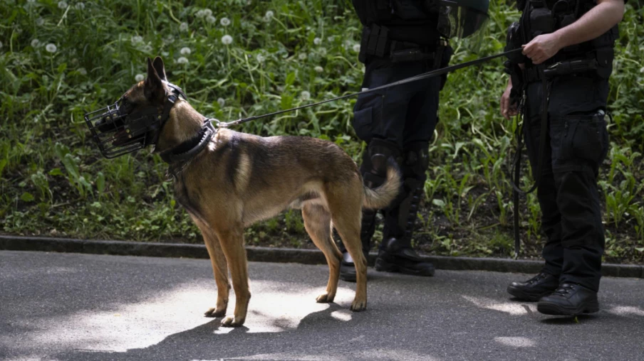 Deux cambrioleurs interpellés en flagrant délit à Villars-sur-Glâne