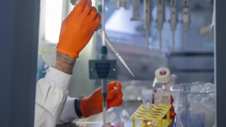 Roche investit 700 M$ dans le programme sur le bexobrutideg de Nurix