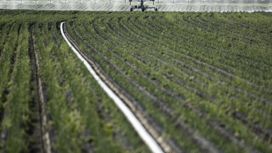 Fribourg : stratégie d'irrigation durable pour l'agriculture
