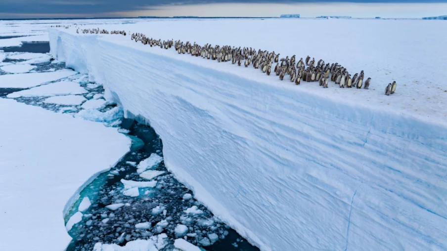 ONU : action urgente pour les océans contre pollution et réchauffement