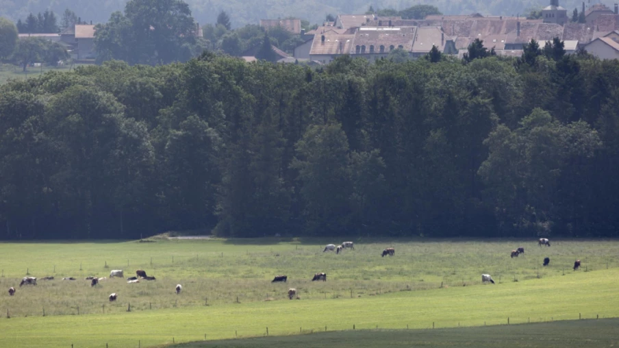 Pétition au Grand Conseil contre la mégagravière des bois de Ballens