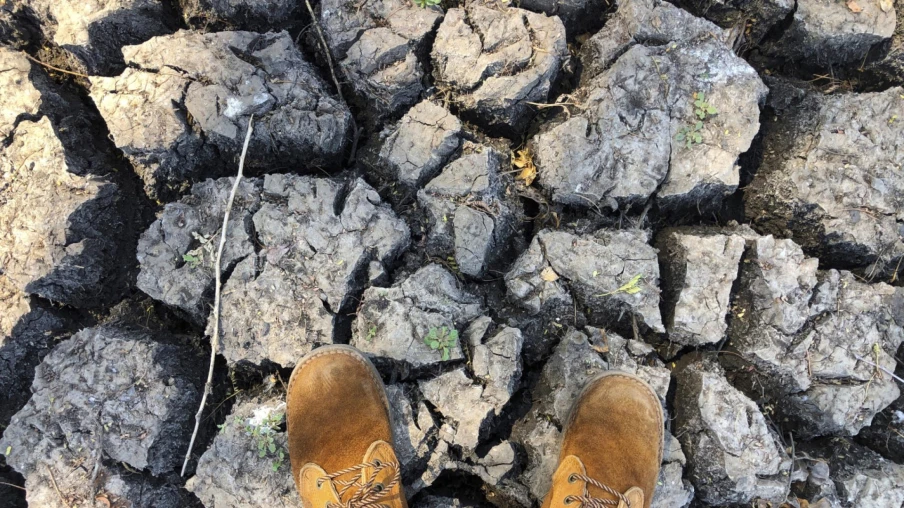 El Niño de retour dans le Pacifique : risques météo extrêmes
