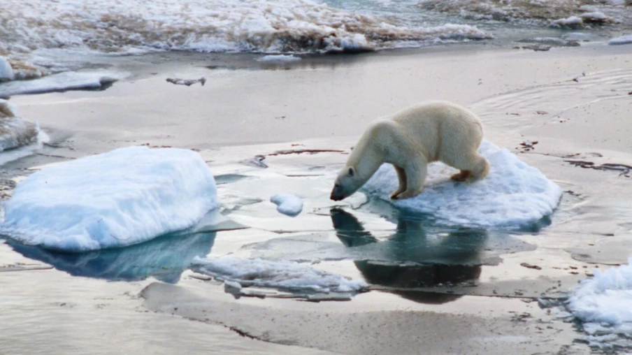 Réchauffement planétaire record et observation de la Terre menacée