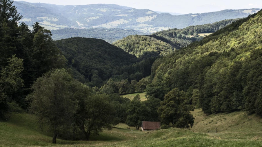Parc éolien de la Haute Borne : avis des habitants pris en compte