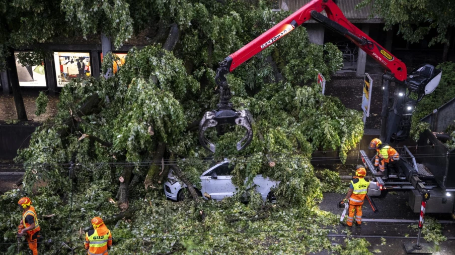 Orages violents à Zurich : plusieurs blessés après chute d'arbres