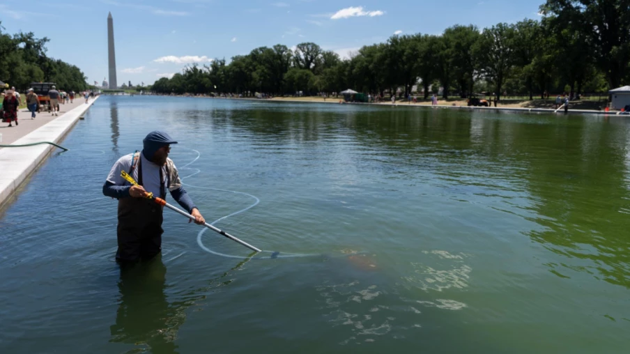 Bassin du Lincoln Memorial : rénovation en échec, algues et Trump