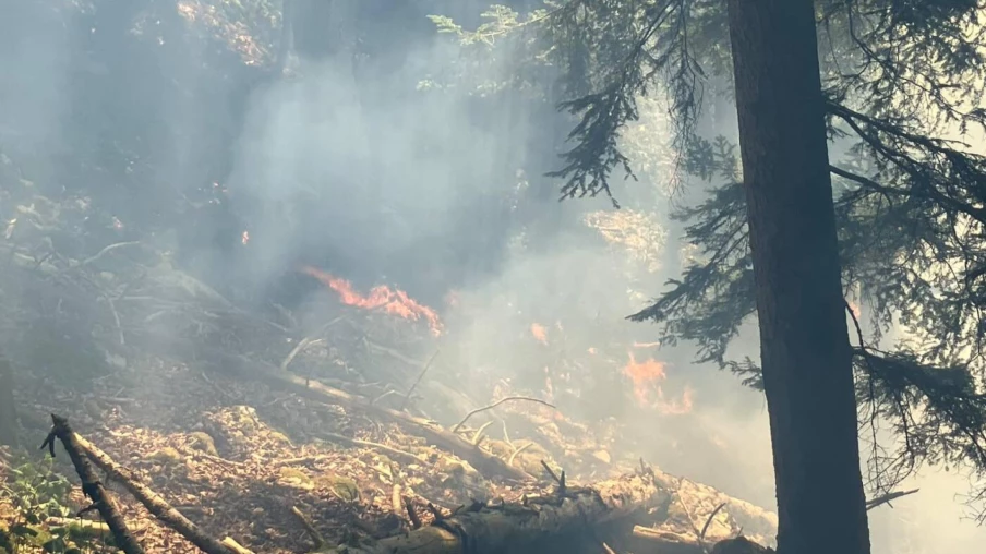 Incendie de forêt aux Roches-de-Moron (NE) maîtrisé en soirée