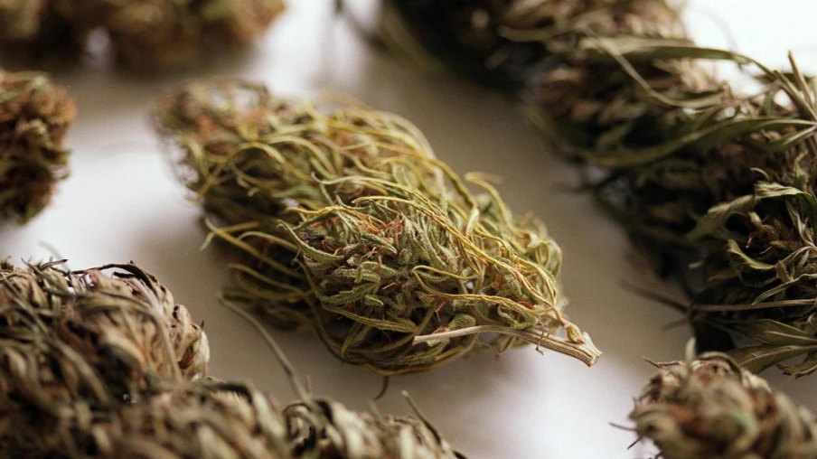 Chauffeur déclare 117 kg de cannabis à la douane germano-suisse