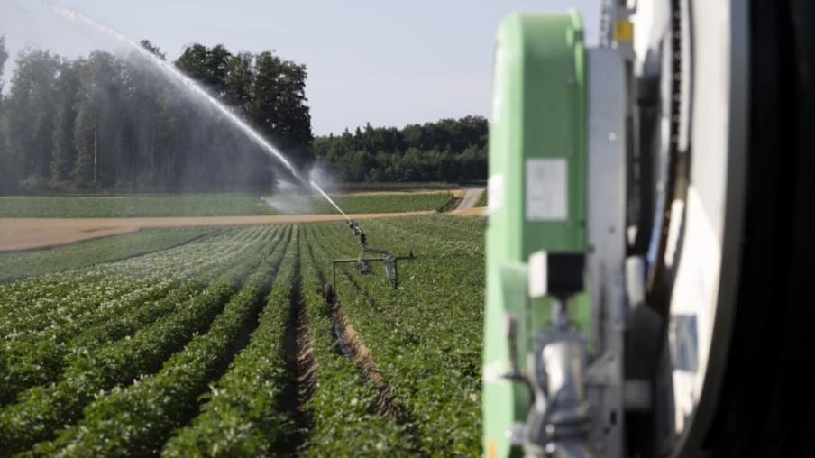 Agriculteurs face à la canicule : goutte à goutte, serres et pompage