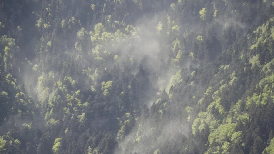 L'agriculture a favorisé la biodiversité sur le plateau suisse