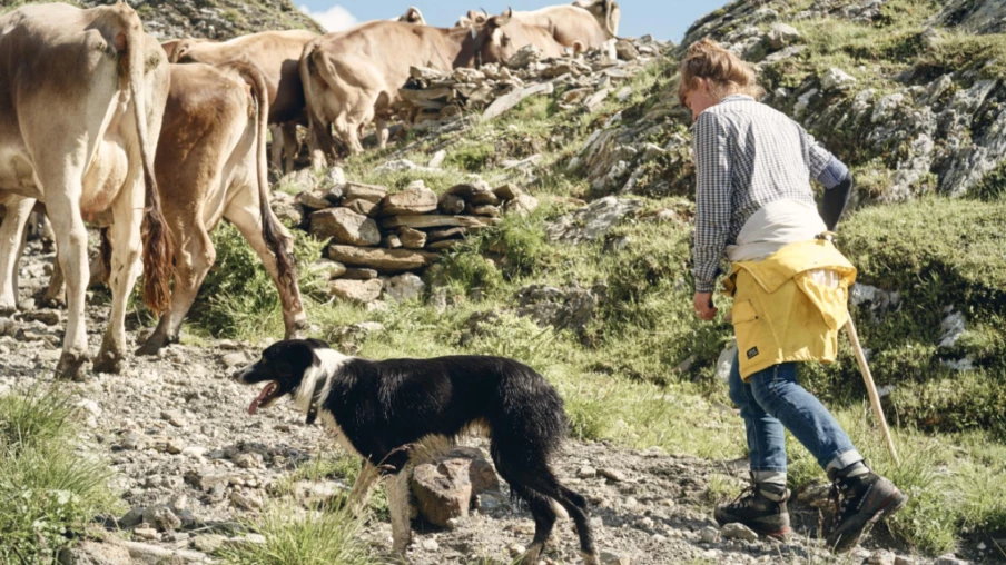 Le National soutient l’indemnisation des conjoints d’agriculteurs en cas de divorce