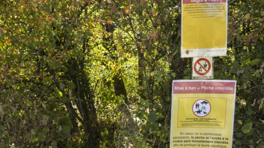 Genève : risque d'incendie en forêt porté à 4/5, feux restreints