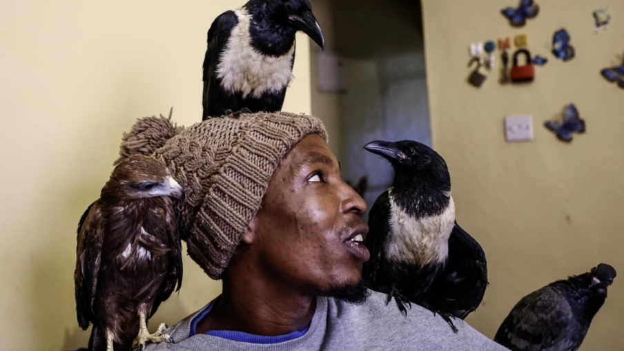 L'homme-oiseau de Nairobi inquiète médecins et autorités de santé