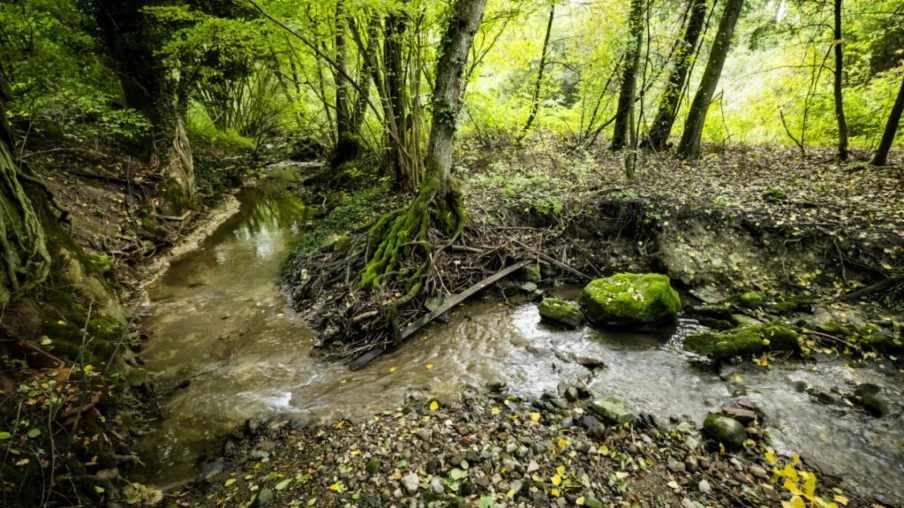 Vaud : 23 mesures pour renforcer la protection des eaux (2026–2035)