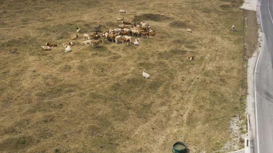 Sécheresse et hausse des températures : des risques climatiques croissants en Suisse selon l’OFEV