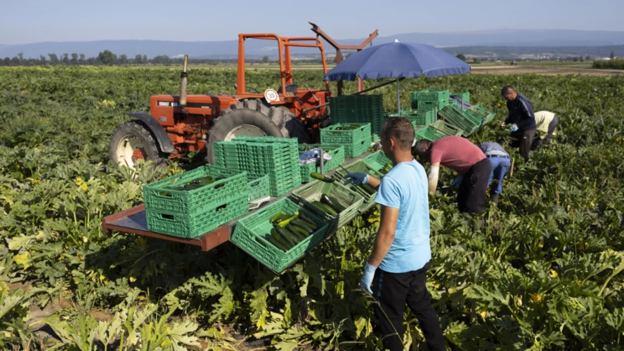 Canicule : Neuchâtel exige un plan d'action et renforce les contrôles