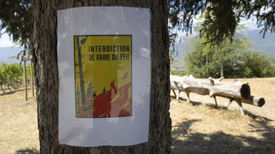 Genève interdit totalement les feux en forêt pour cause de sécheresse