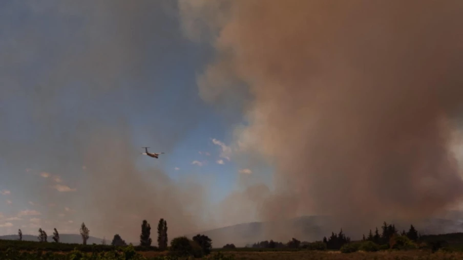 Canicule et incendies en France : 7 800 ha brûlés en huit jours