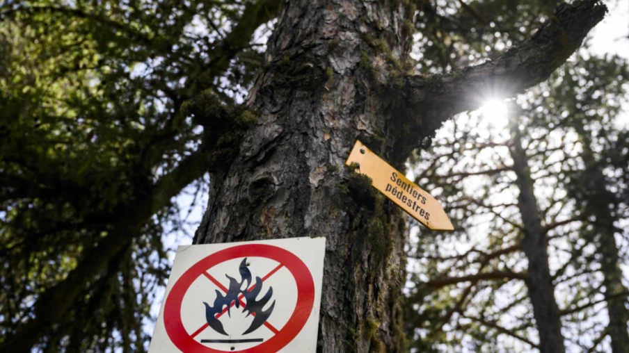 Fribourg interdit le feu en forêt : danger d'incendie élevé