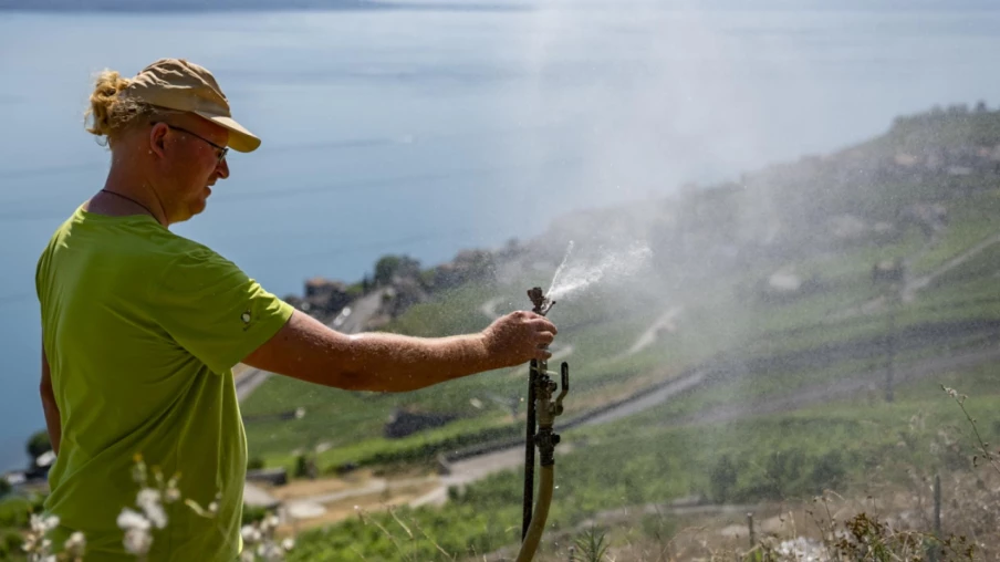 Lavaux : un système maison pour arroser les vignes en sécheresse