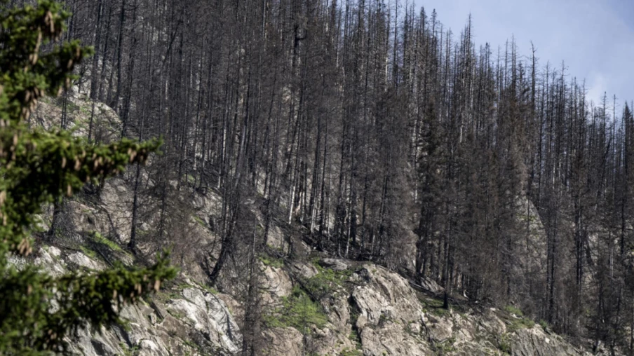 Incendie en Italie : la fumée touche le Haut-Valais et le Simplon