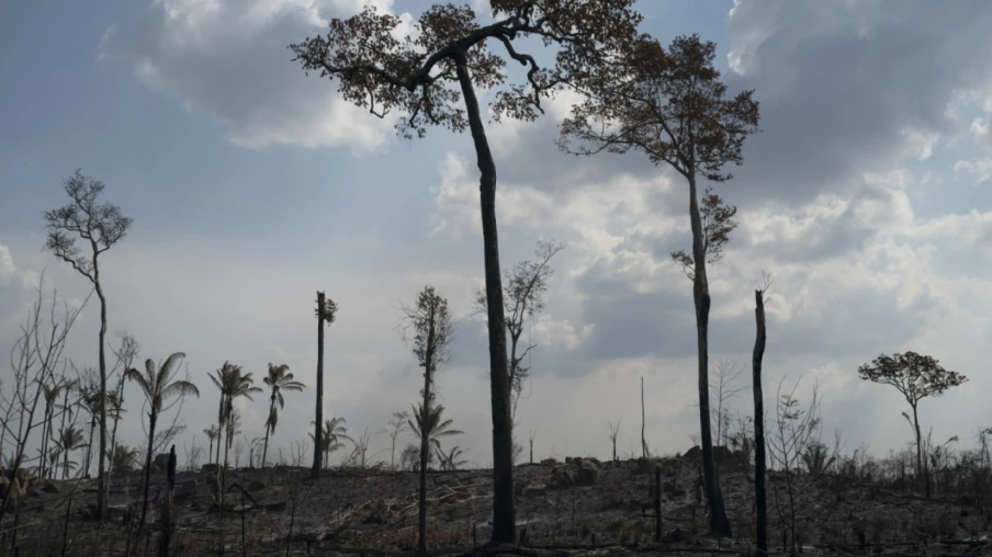 Brésil : la déforestation en Amazonie au plus bas depuis 2016