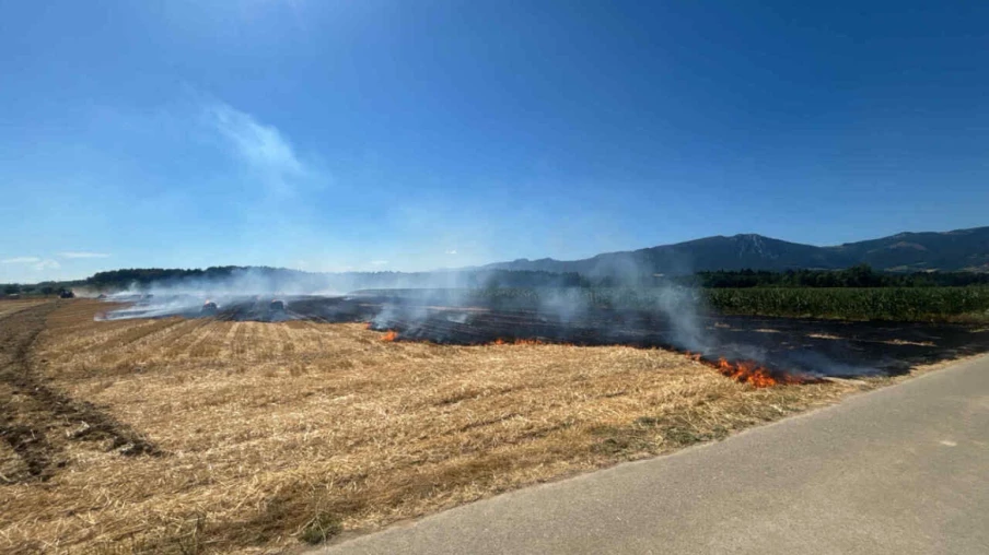 Champ de chaume en feu à Deitingen (SO) : moins de 200 ares brûlés