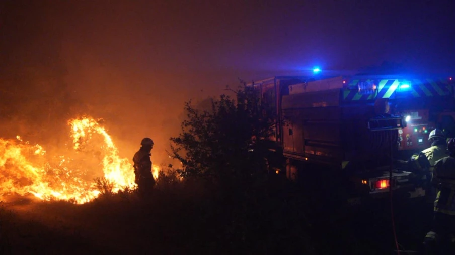 incendie à la forêt de Fontainebleau près de Paris, 800 hectares brûlés