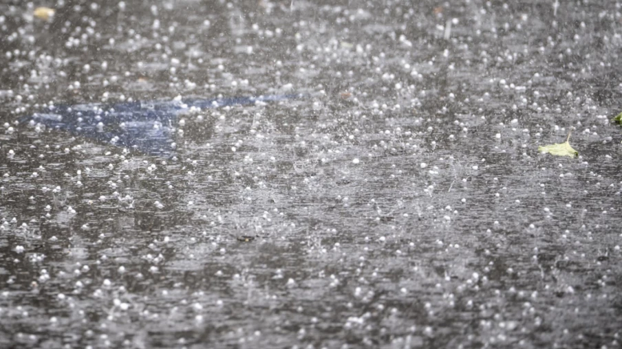Vaud : dégâts légers et arbres tombés après l’orage