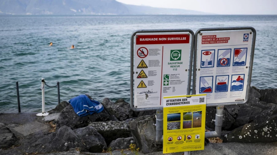 Cyanobactéries dans le lac Léman : pourquoi Vaud ne les mesure pas