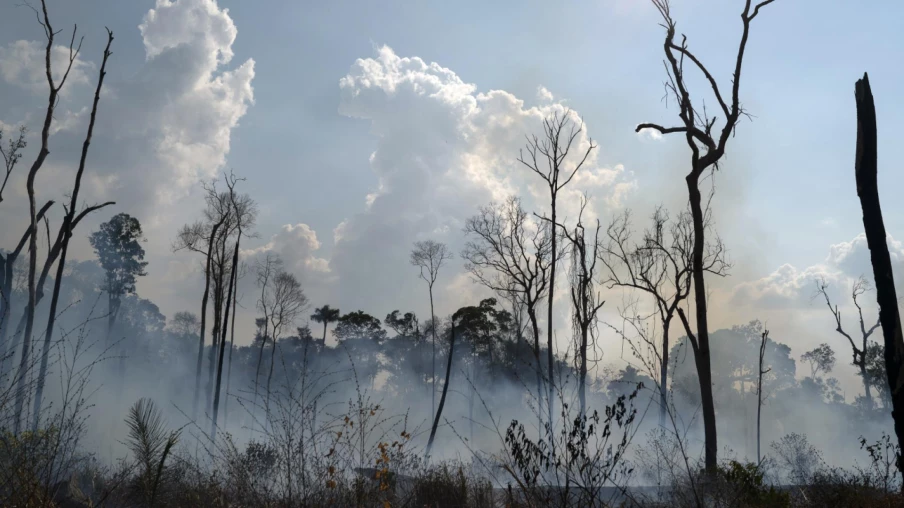 Amazonie brésilienne : des incendies à leur plus bas historique en 2025